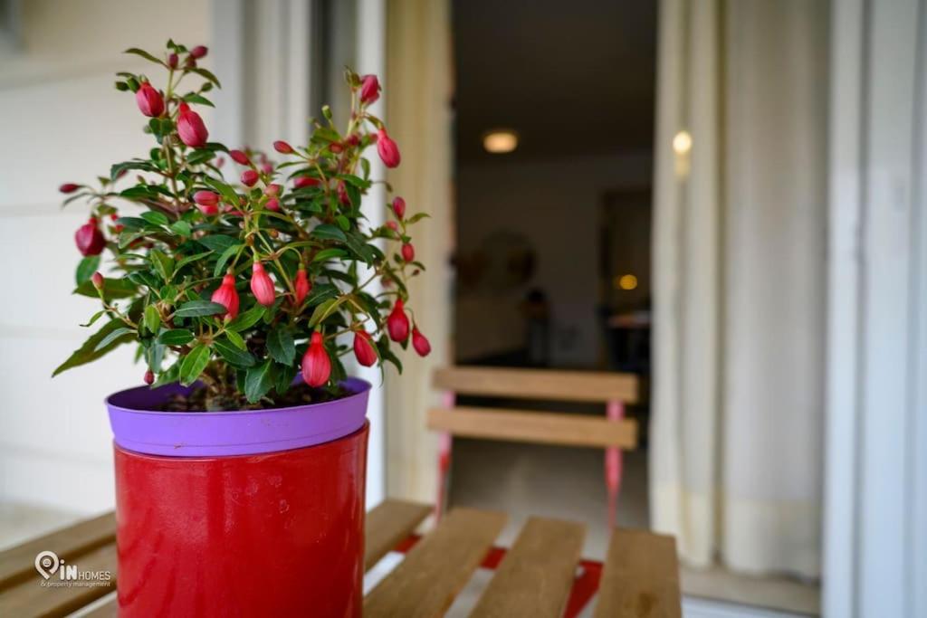 Thyme Out In Athens Apartman Kültér fotó
